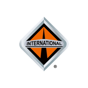 international-vector-logo
